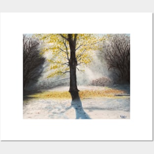 Frosty Glade - New Forest Posters and Art